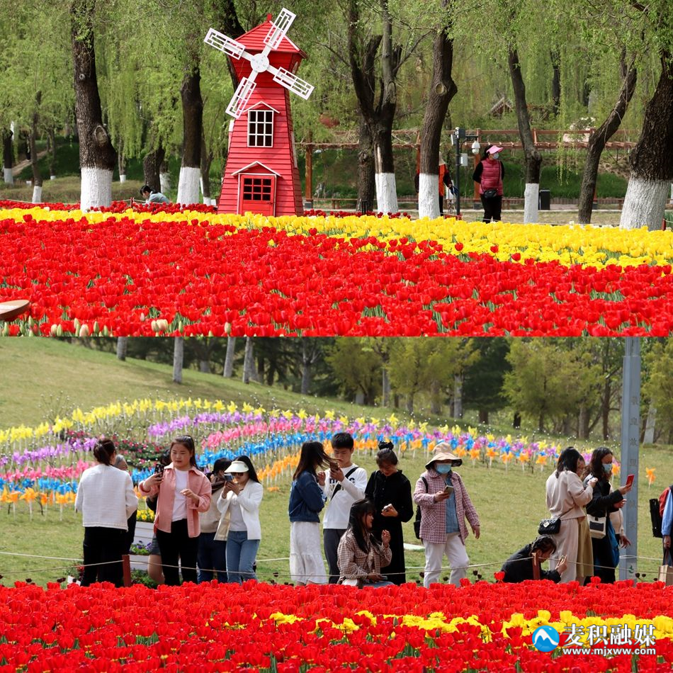 QQ圖片20230411204647_副本