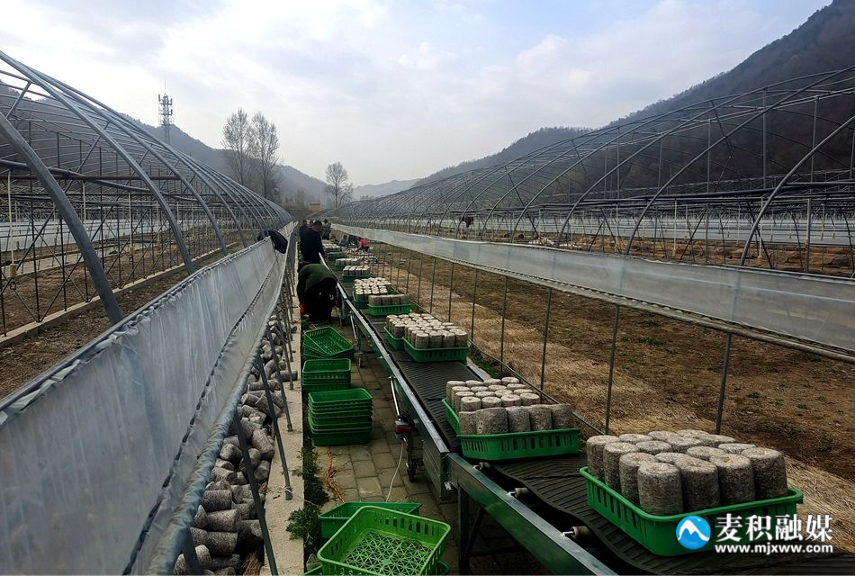 利橋鎮(zhèn)3_副本