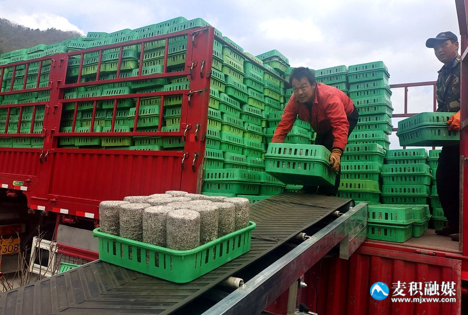 利橋鎮(zhèn)2_副本