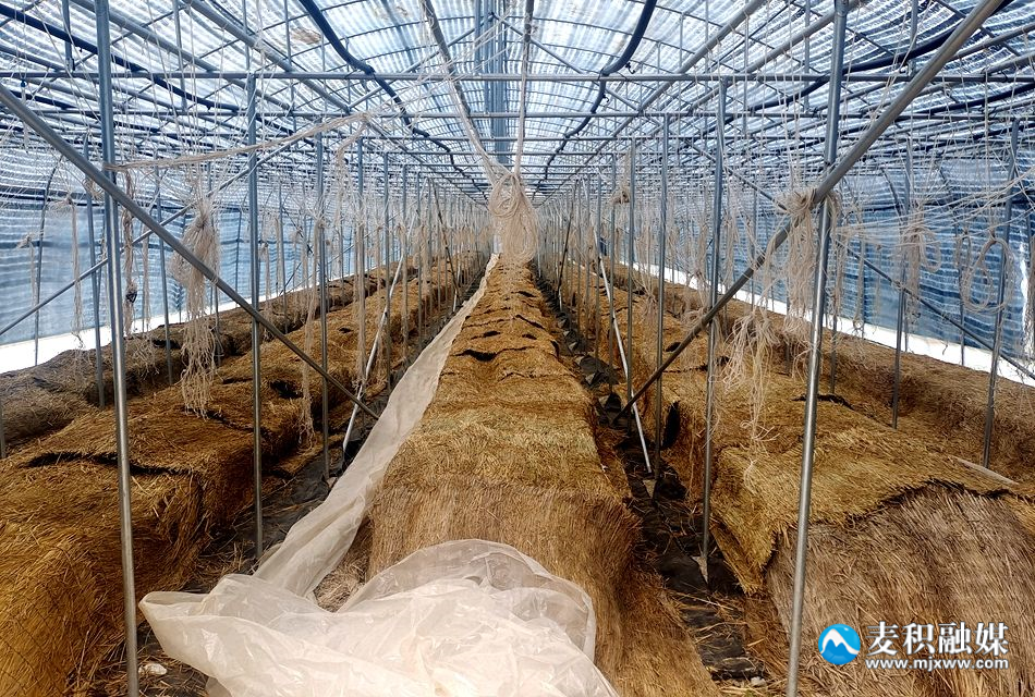 利橋鎮(zhèn)5_副本