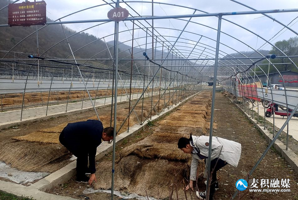 利橋鎮(zhèn)9_副本