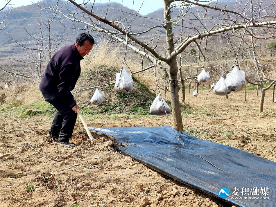 3a311b9fbc8c4551be567992767c8f4