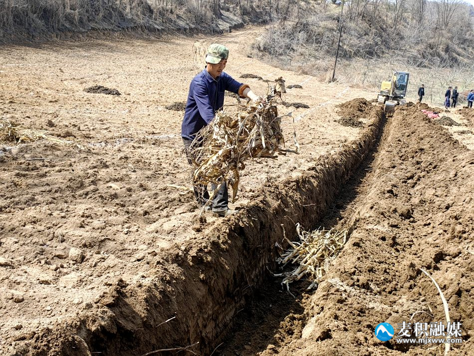 44e3494090bed658b94803c2453d659