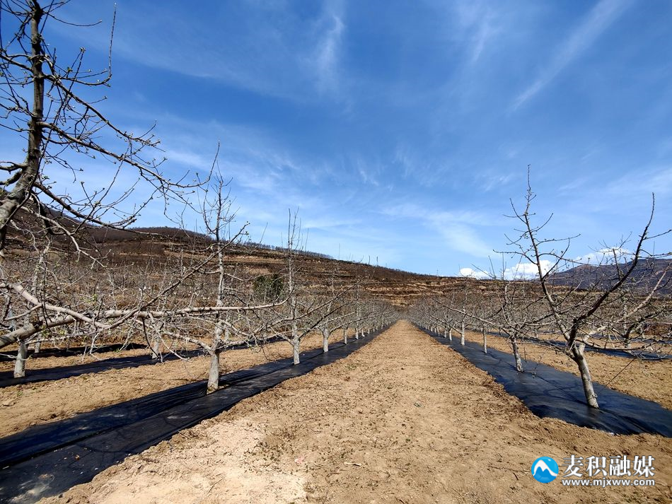 83ae4ff841f83b21dbbbe50db38d7f5