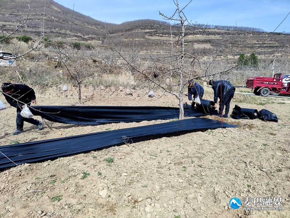 79a27cb6ef5e136223f155bcb300bf0