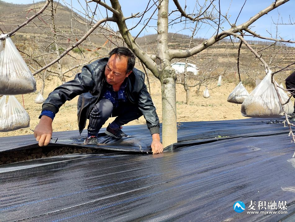 dee503ffc5d8256375540f6a4293fcd