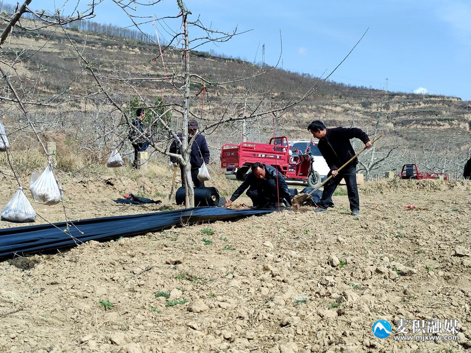 6c755252e084849ce03c246e0d77760