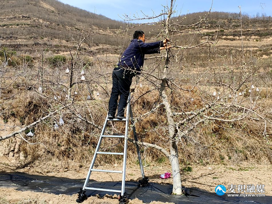 2bb9a210d33a1bb51b2bd2d0cff19e8