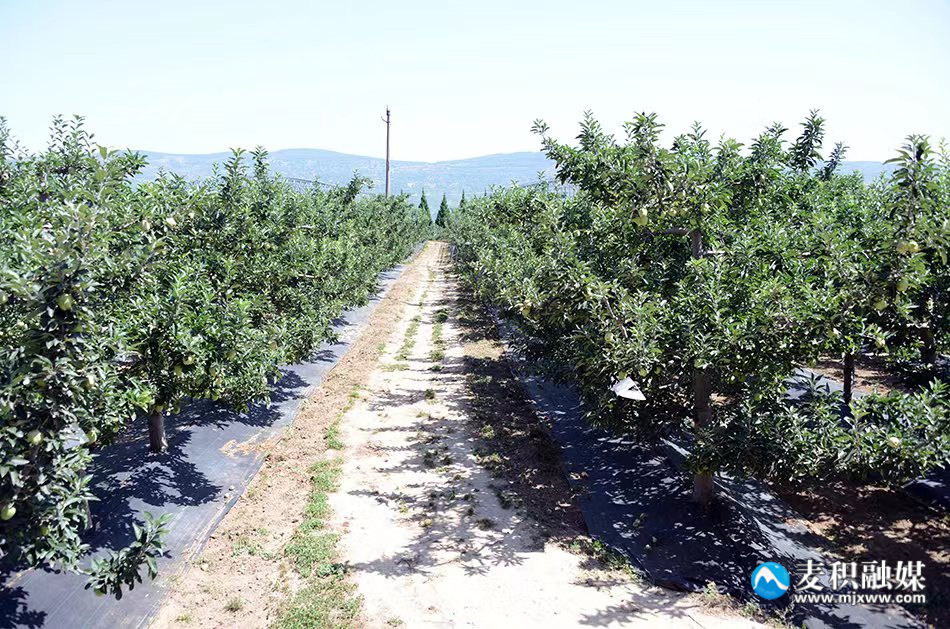 04c726a595870cb94fd91dd60b2436f8