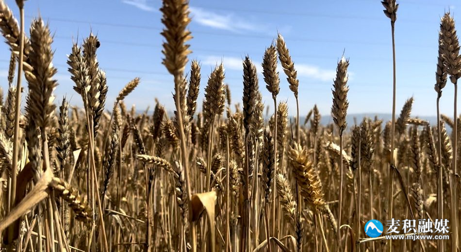 43c5e4439d03b8cb924ab36eb8951a0