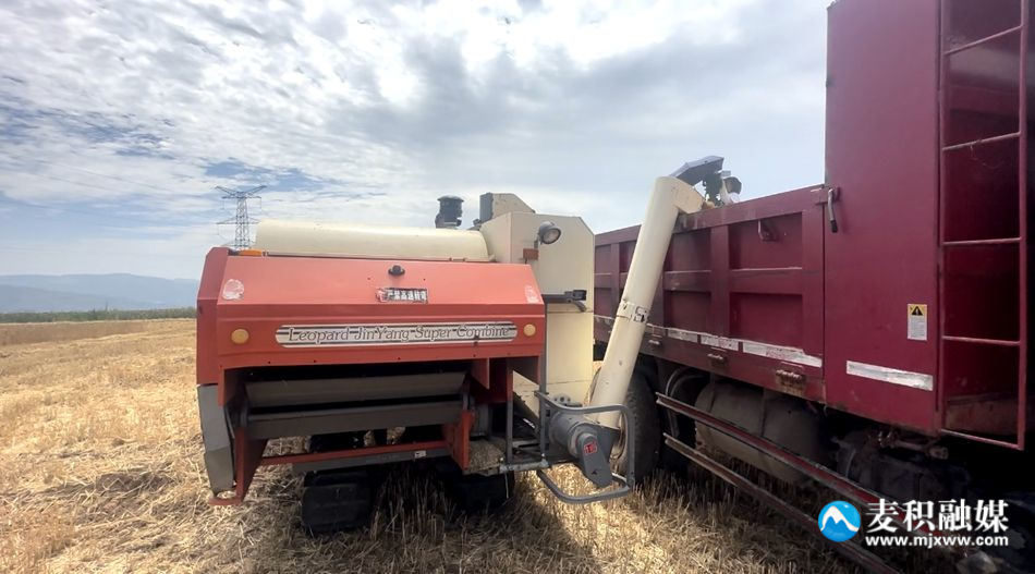 6738f86bfbc77c23472be327c0f3b74