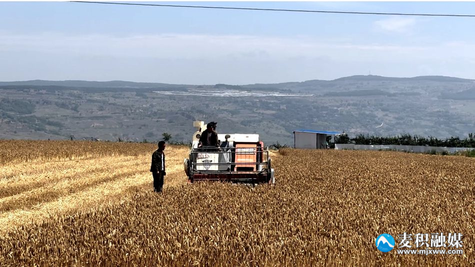 5d56e2cc21c42d212cc519d3a09472c