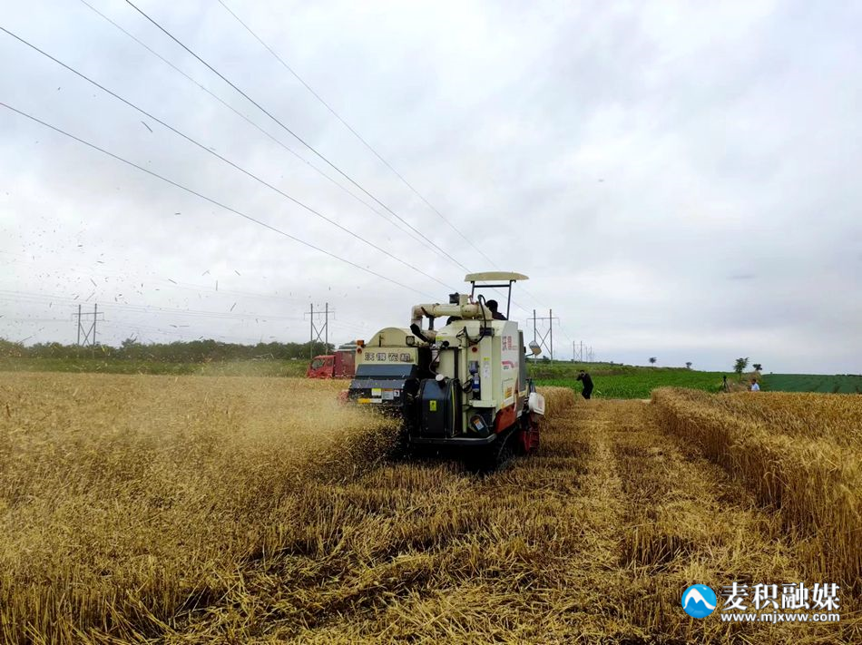 4ecd99bc988e410c20d6b46e6a309c4