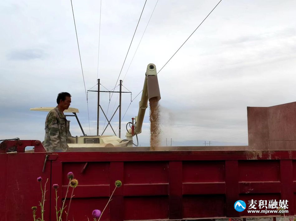 8062381fefe520723055b6c3ac8fad7