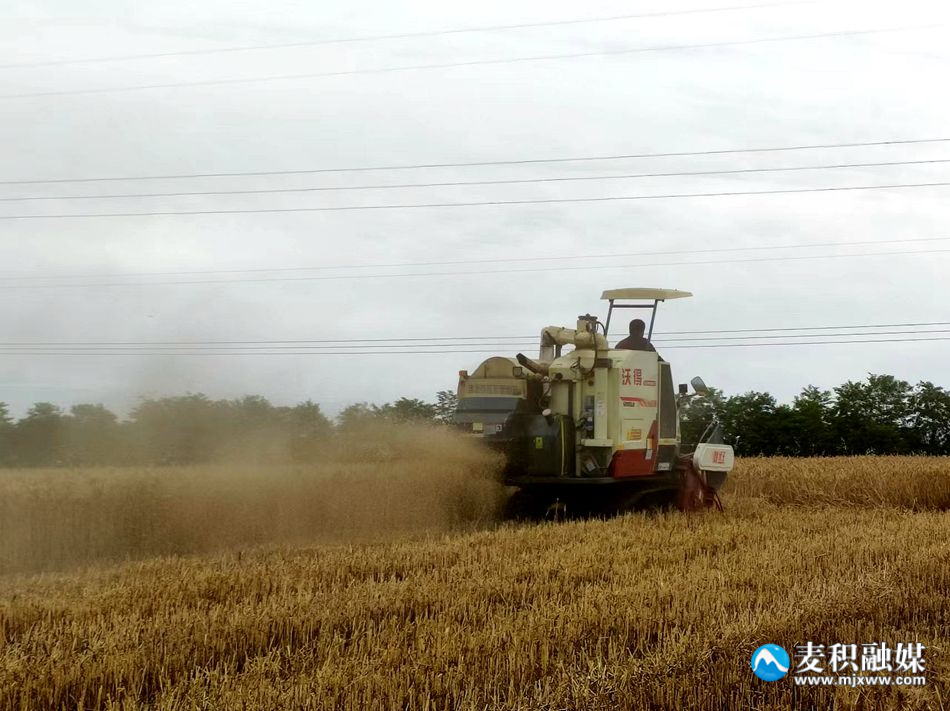 fa57d8665212b983d392ea2bb62f07c