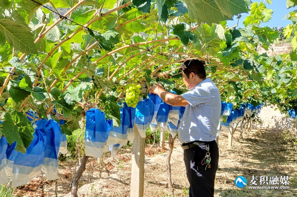 a595579930ec3a6ac8b5fea64082a23