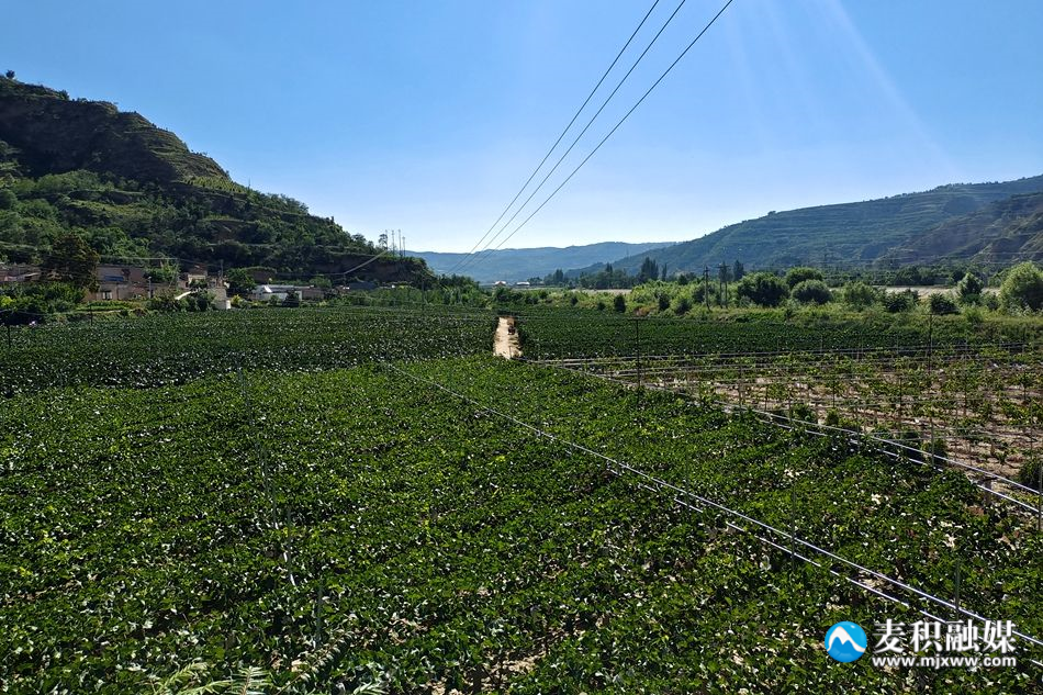 202c6df70f7ded28f124d2a57a75356