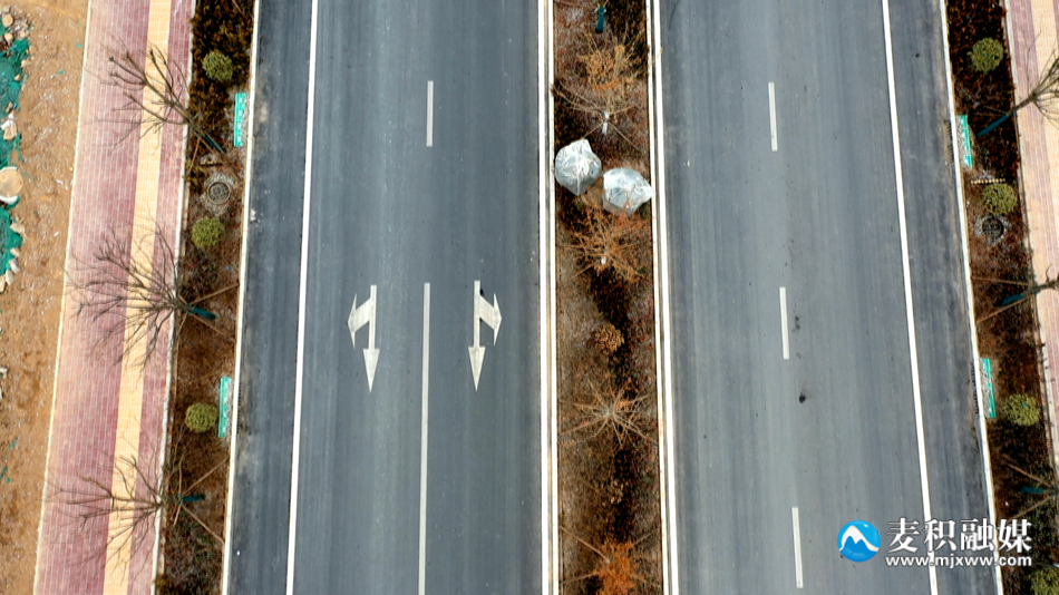 77d3dd9950a019e14d05349aafdcf16