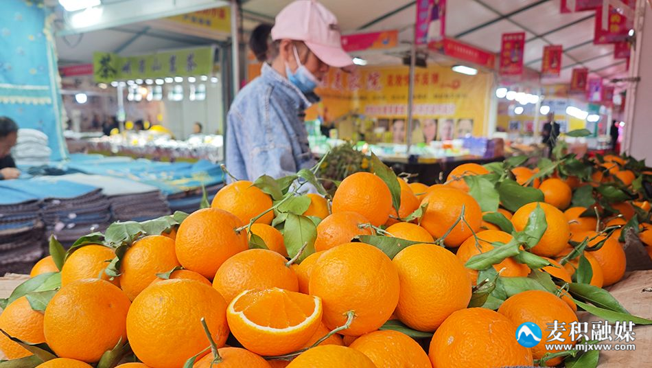 微信圖片_20240402102815