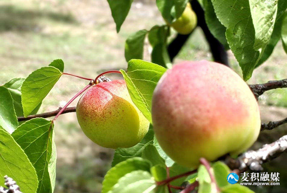 72344d9143f936e11b847417af526a3