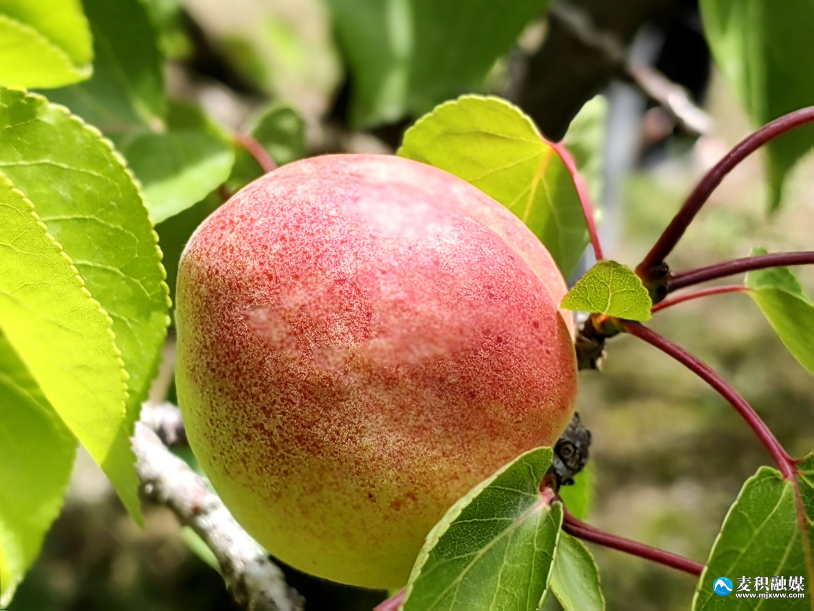 ad929af859c5fb82dd0774c949fe73e ad929af859c5fb82dd0774c949fe73e