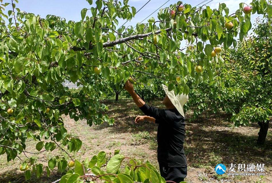 7560f6c3e44a1e01ee979cf8855e42f